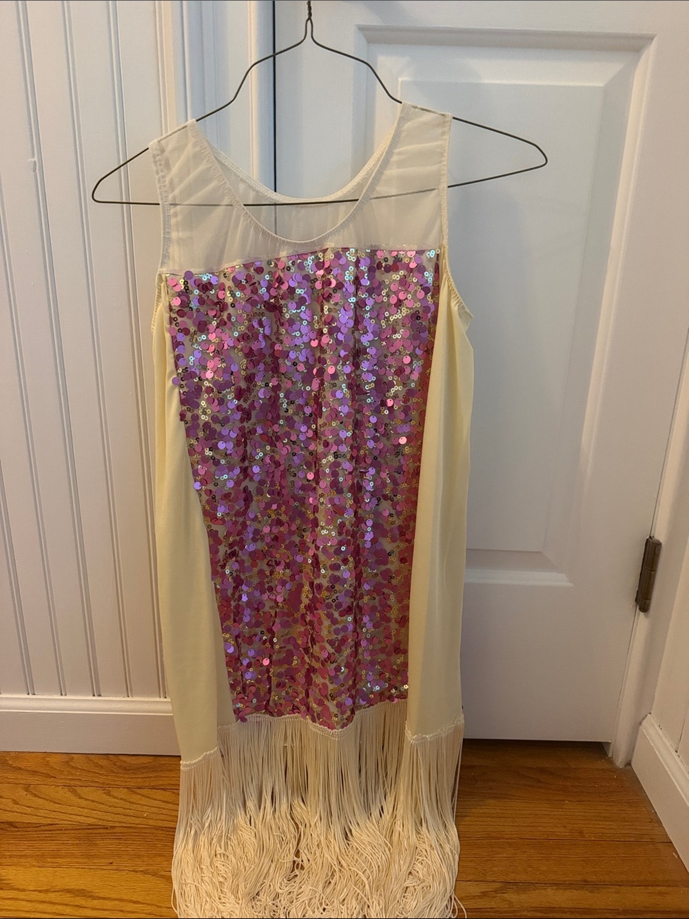 1920’s Flapper Dress Costume